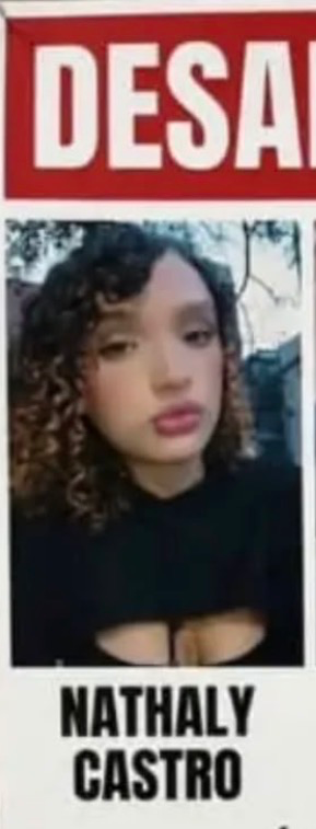 Nathaly Rosangel Castro Visbal